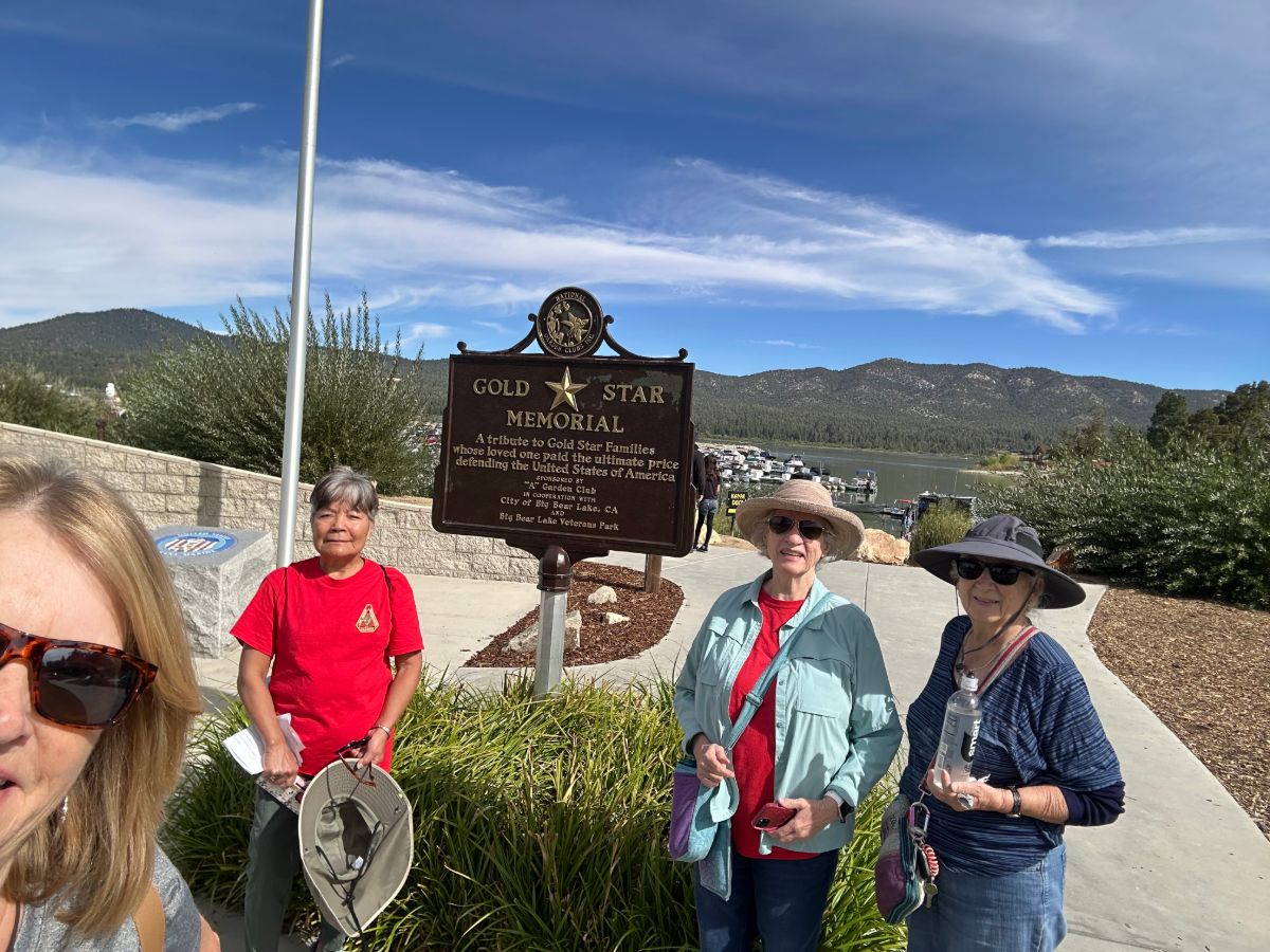 Photo from the walk